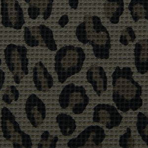 Sable Mist Leopard