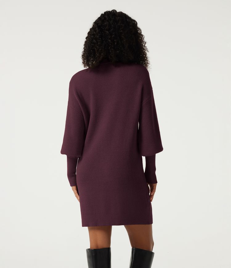 High Neck Long Sleeve Casual Mini Sweater Dress