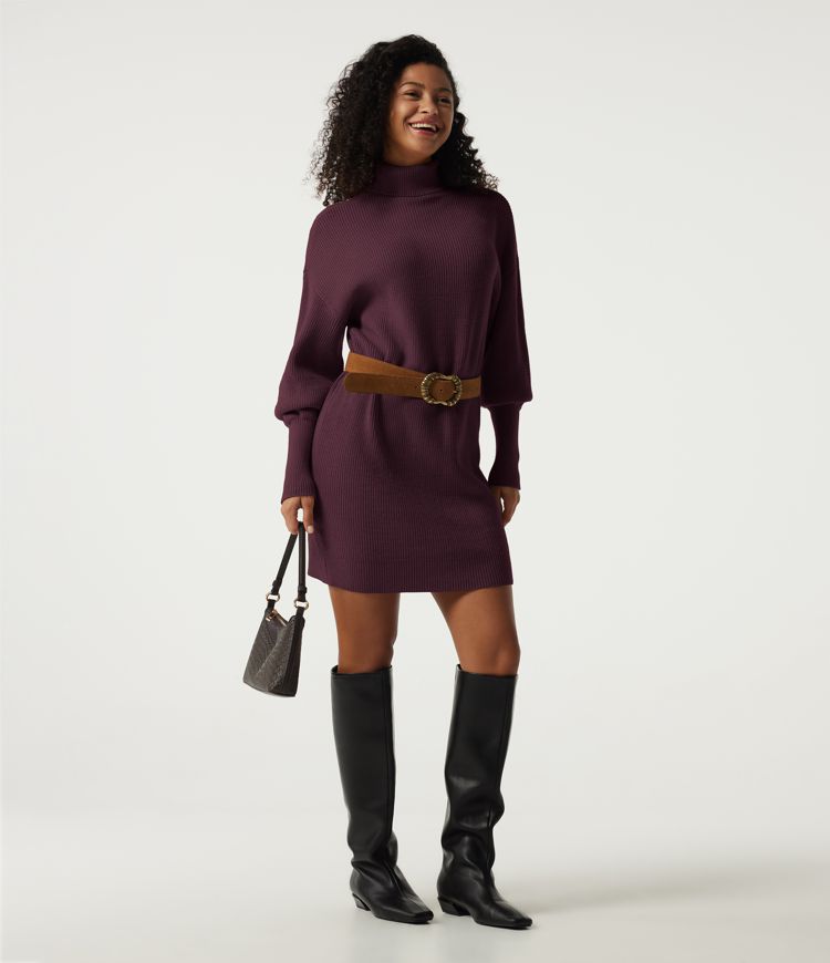 High Neck Long Sleeve Casual Mini Sweater Dress