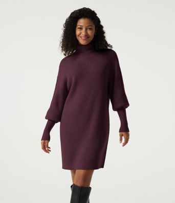 High Neck Long Sleeve Casual Mini Sweater Dress