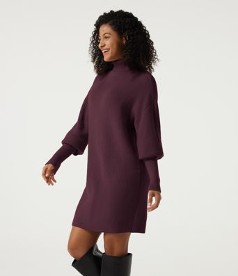 High Neck Long Sleeve Casual Mini Sweater Dress