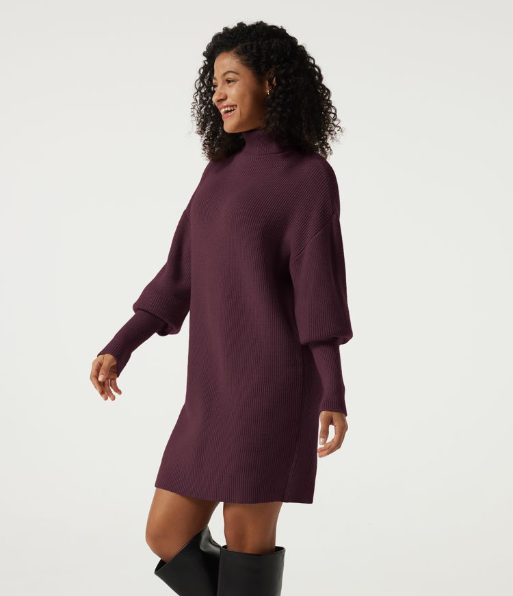 High Neck Long Sleeve Casual Mini Sweater Dress